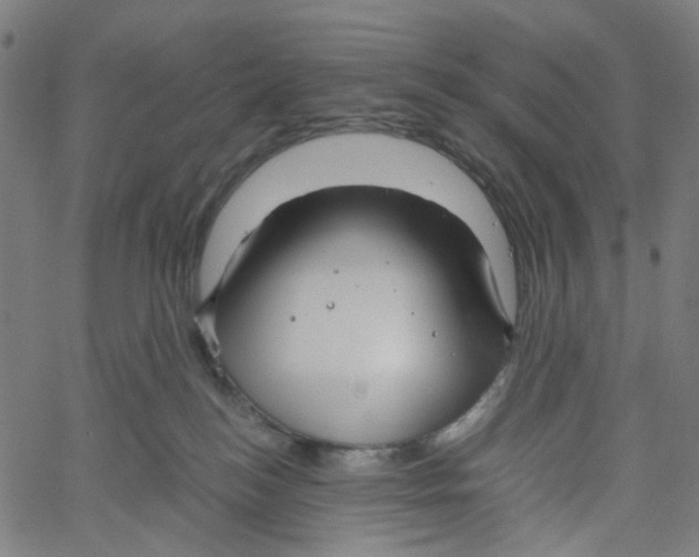 X0000061110184200512161423