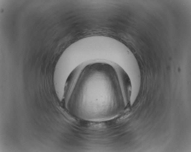 X0000061110185200512161423