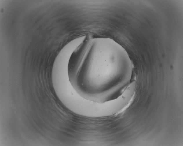 X0000061110186200512161423
