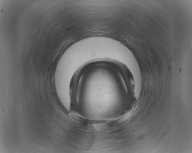 X0000061110188200512161423