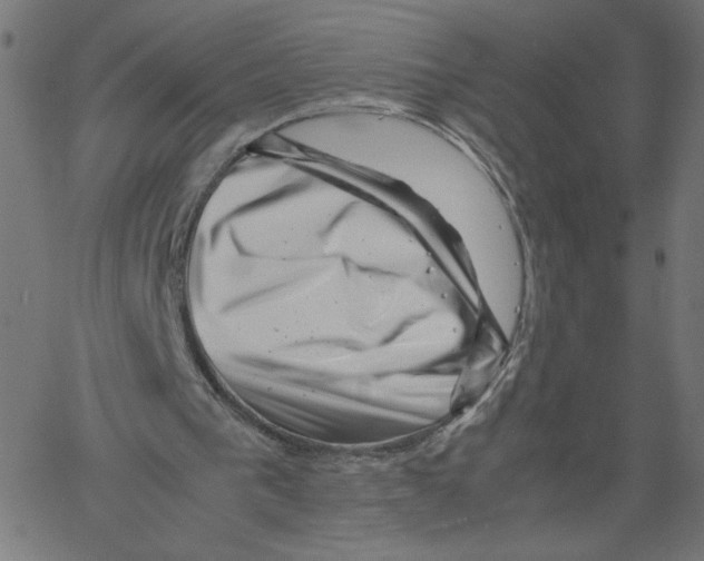 X0000061110193200512161422