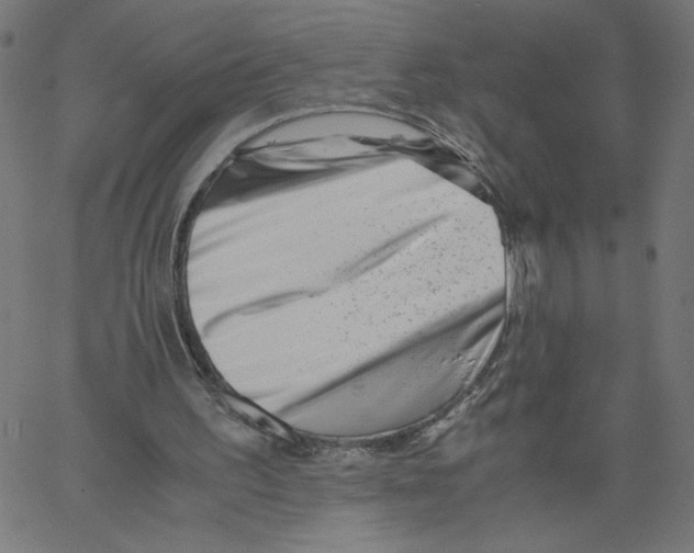 X0000061110195200512161422