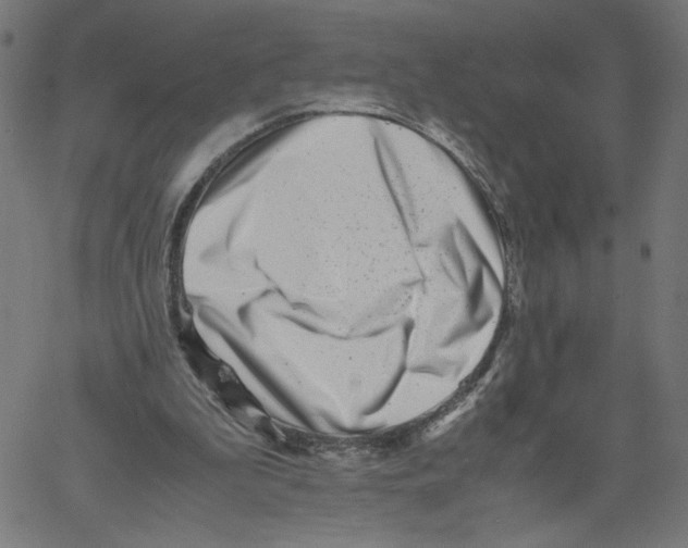 X0000061110199200512161422