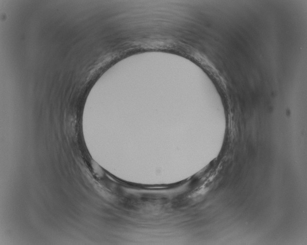 X0000061110201200512161422
