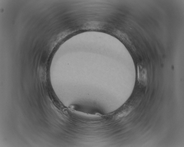 X0000061110204200512161422