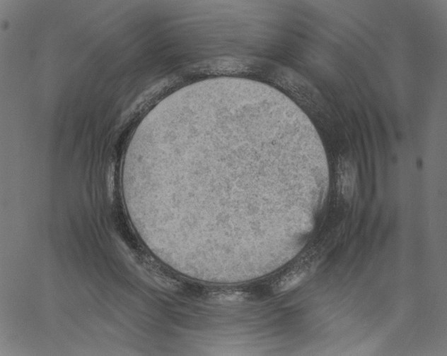 X0000061110206200512161422