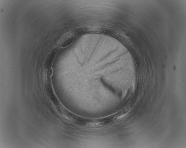 X0000061110213200512161422