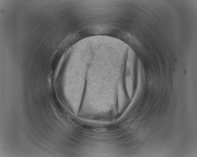 X0000061110214200512161422