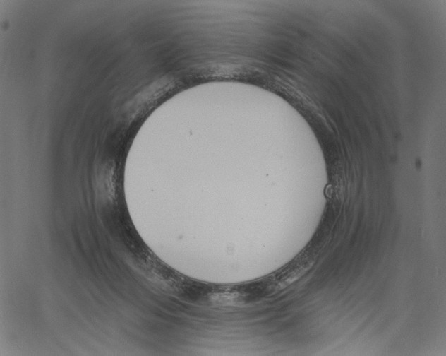 X0000061110216200512161422
