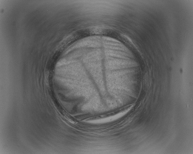 X0000061110217200512161422