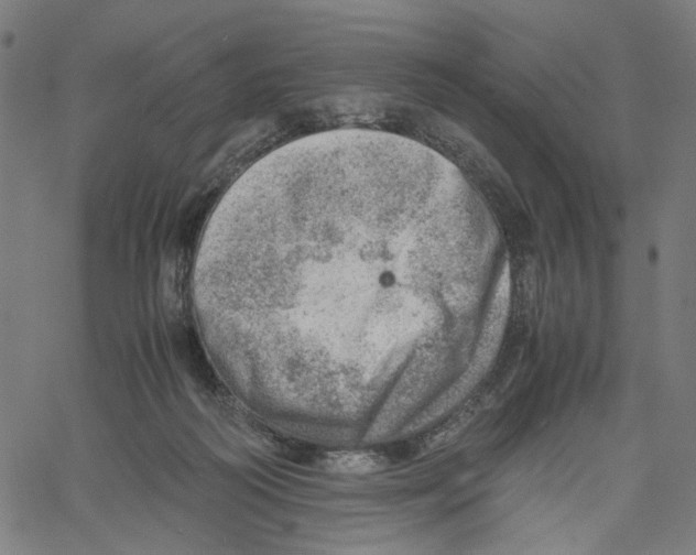 X0000061110218200512161422