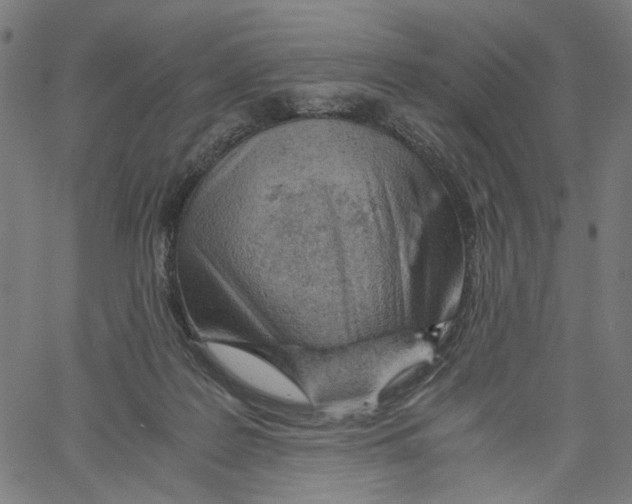 X0000061110219200512161422