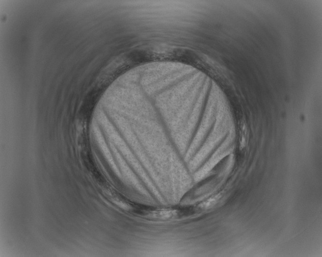 X0000061110225200512161422
