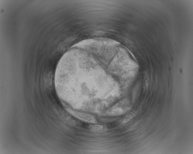 X0000061110230200512161422