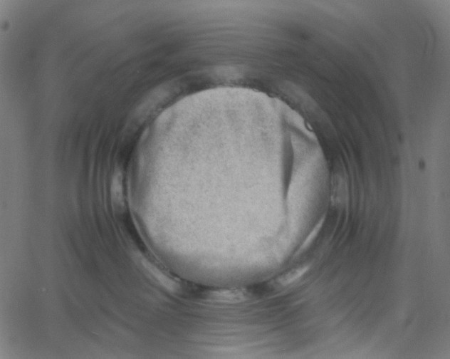 X0000061110238200512161421
