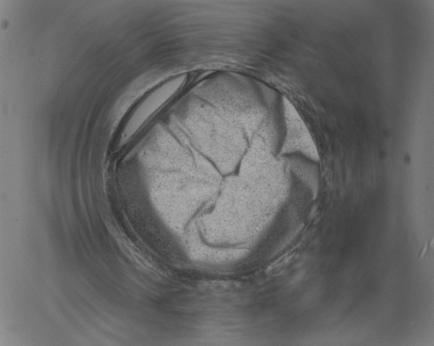 X0000061110242200512161421