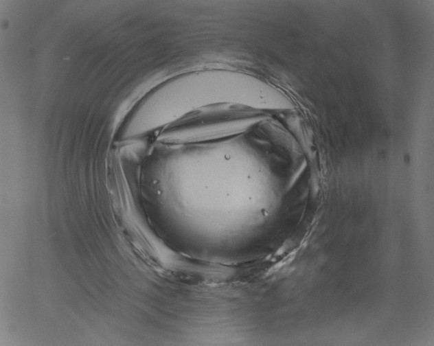 X0000061110244200512161421
