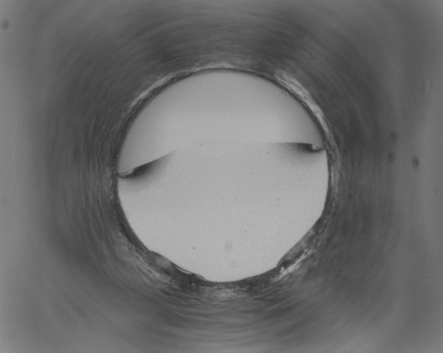 X0000061110249200512161421