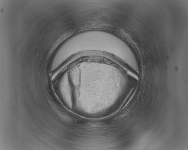 X0000061110250200512161421