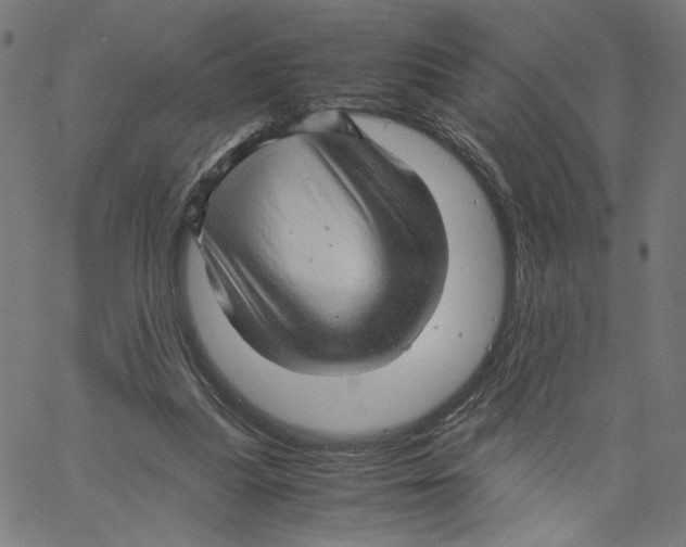 X0000061110251200512161421