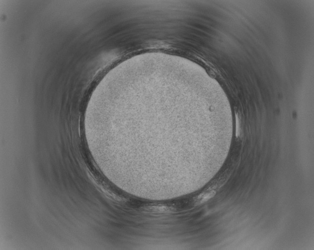 X0000061110253200512161421