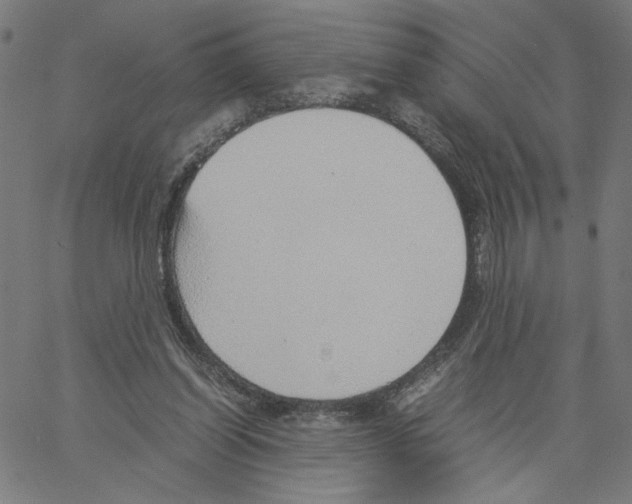 X0000061110254200512161421