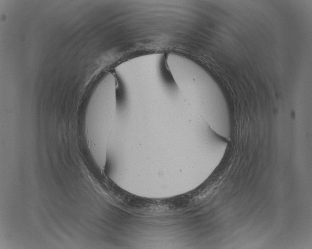 X0000061110256200512161421