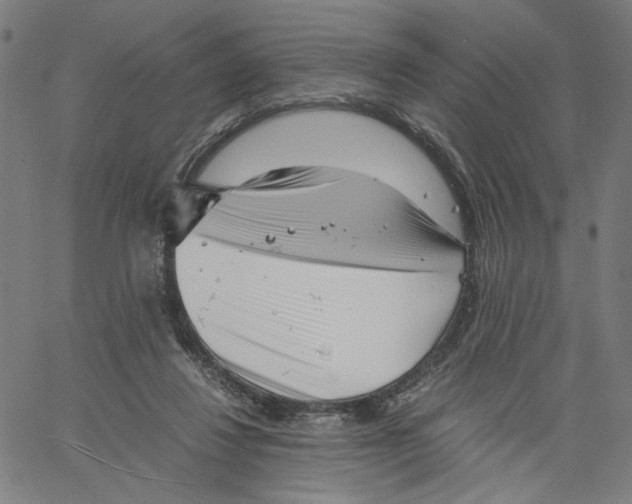 X0000061110260200512161421