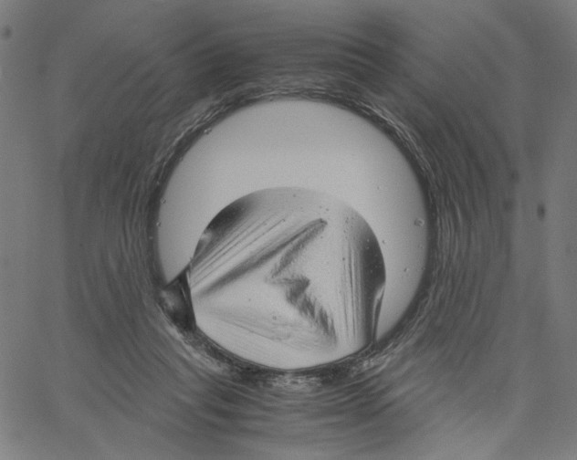 X0000061110261200512161421