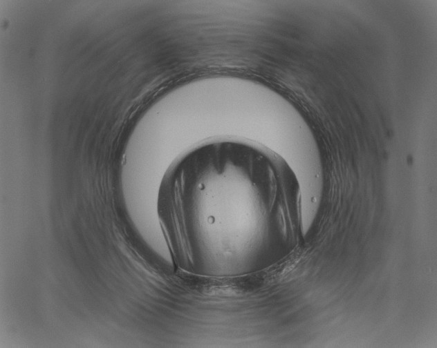 X0000061110262200512161421