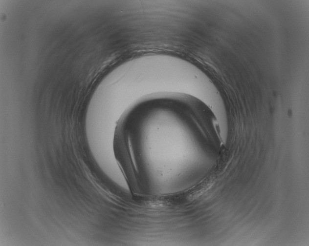 X0000061110264200512161421
