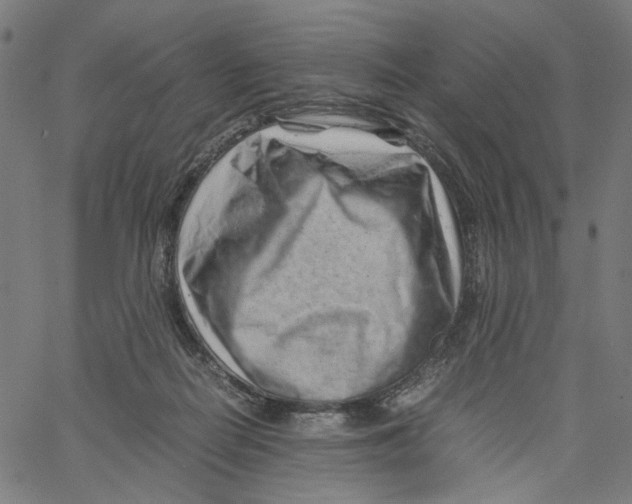 X0000061110266200512161421