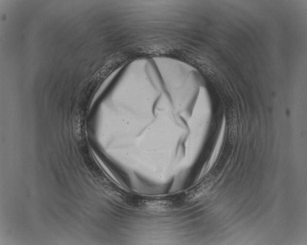X0000061110268200512161421