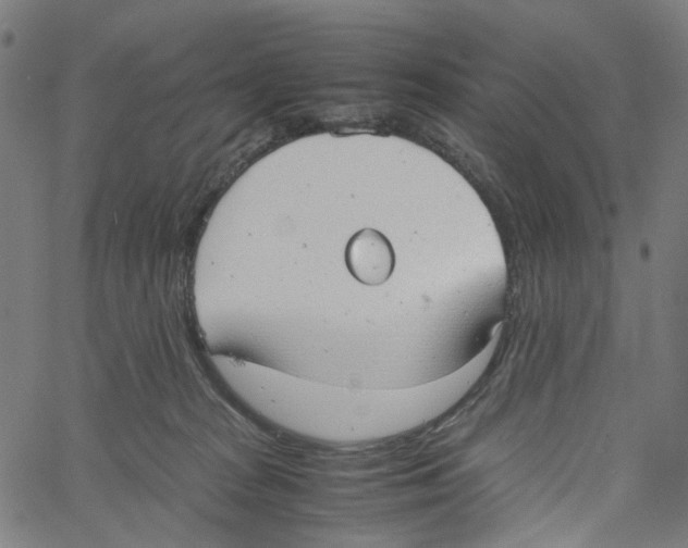 X0000061110277200512161421