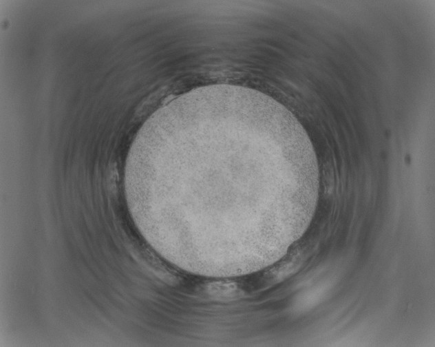 X0000061110279200512161421