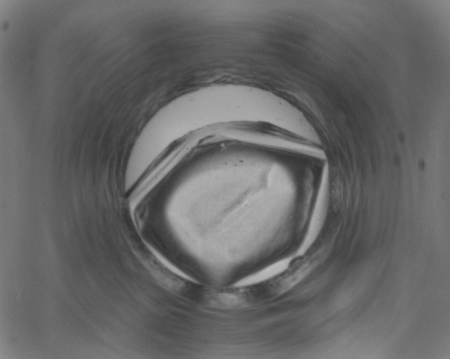 X0000061110285200512161421