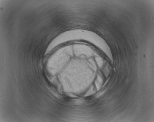 X0000061110286200512161421