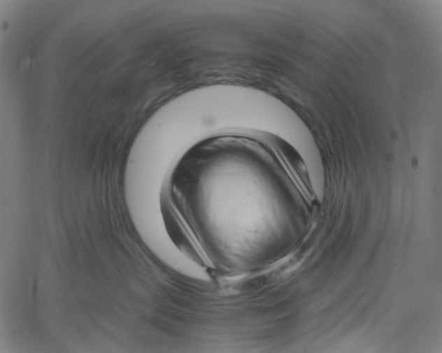 X0000061110287200512161421