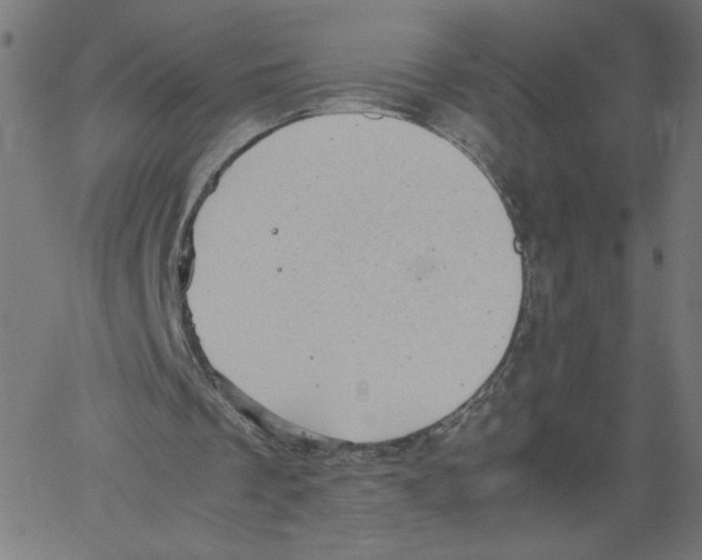 X0000061110289200512161421