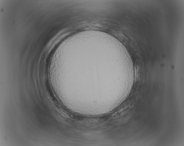 X0000061110291200512161421