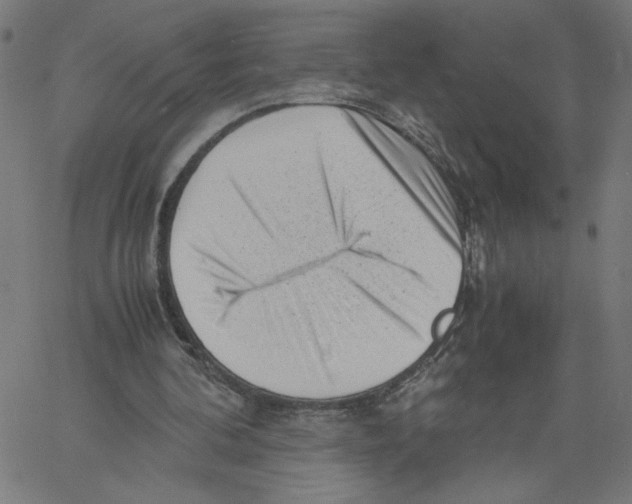 X0000061110292200512161421
