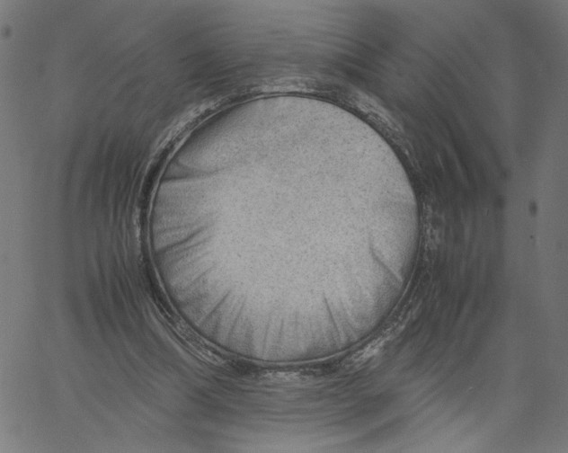 X0000061110298200512161420
