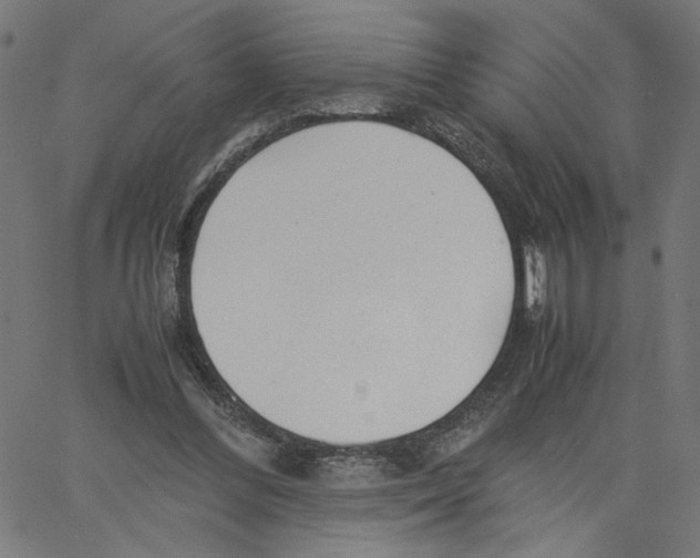 X0000061110300200512161420