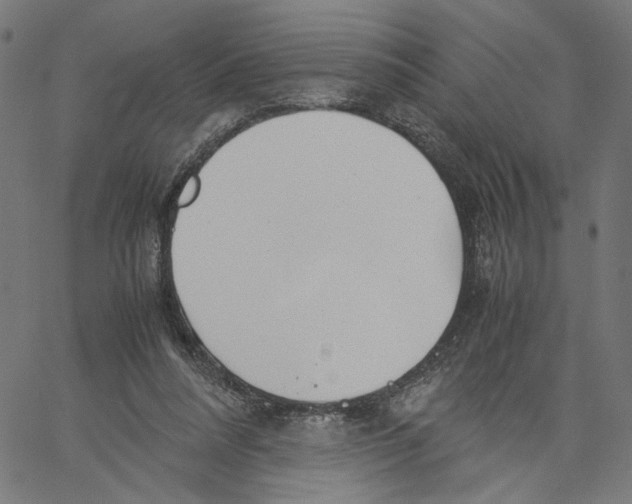 X0000061110304200512161420