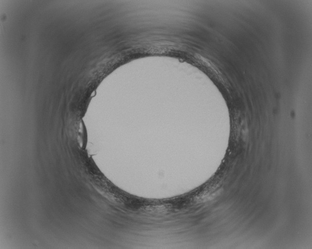 X0000061110307200512161420