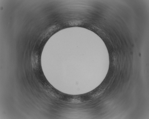 X0000061110308200512161420