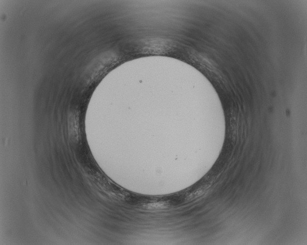 X0000061110312200512161420