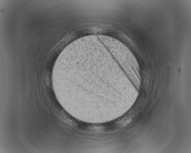 X0000061110313200512161420