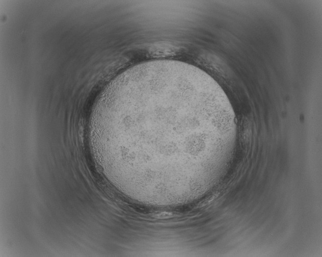 X0000061110315200512161420