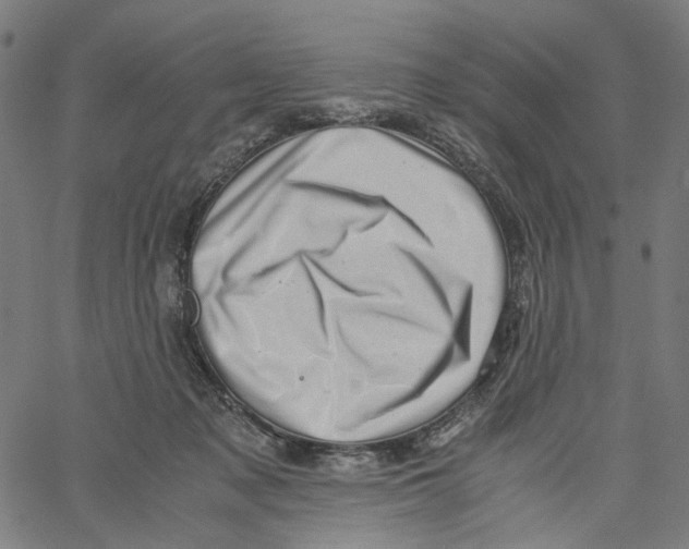 X0000061110317200512161420